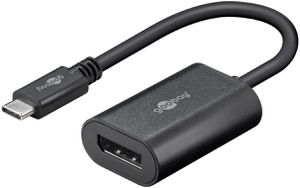 USB-C auf DisplayPort Adapter 0.2m