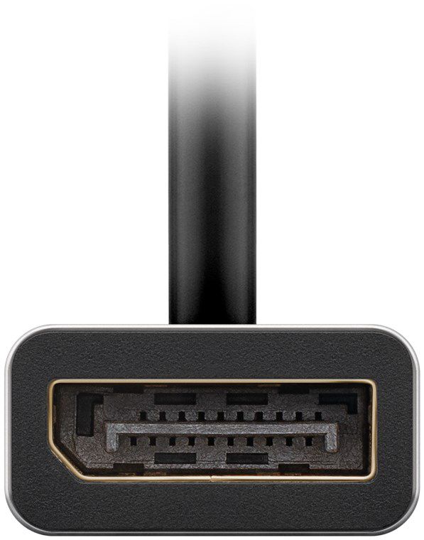 USB-C auf DisplayPort Adapter, 0.15m, schwarz/silber
