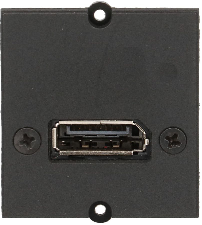intérieur DisplayPort prise/prise