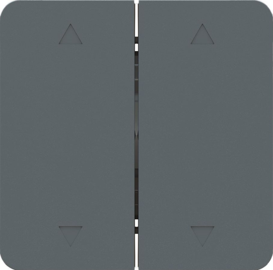 Doppel-Wippschalter 2x Storen Einsatz +Frontplatte priamos ant