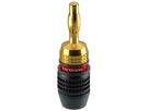 Clicktronic spina a banana oro nero