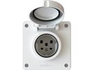 Steckdose 1x Typ 25 Einsatz +Frontset exo IP55 weiss