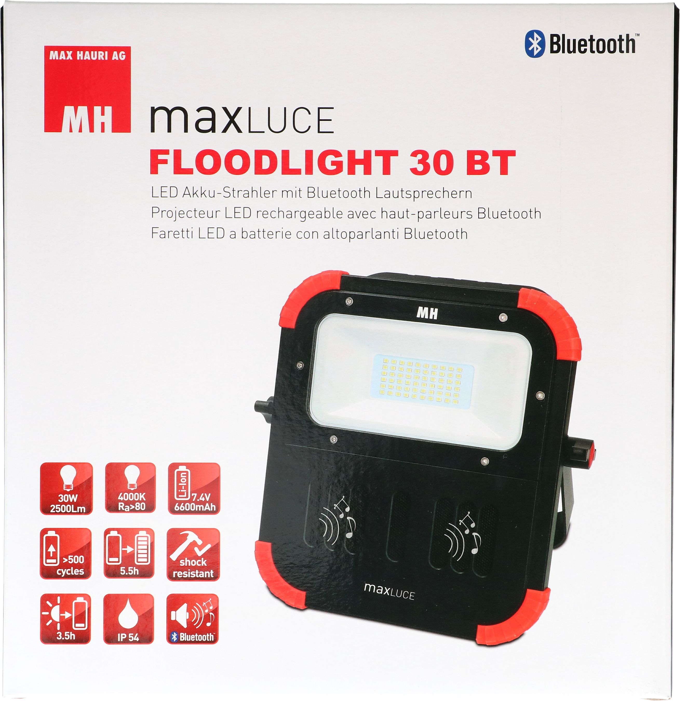 Rechargeble LED Floodlight 30W BT