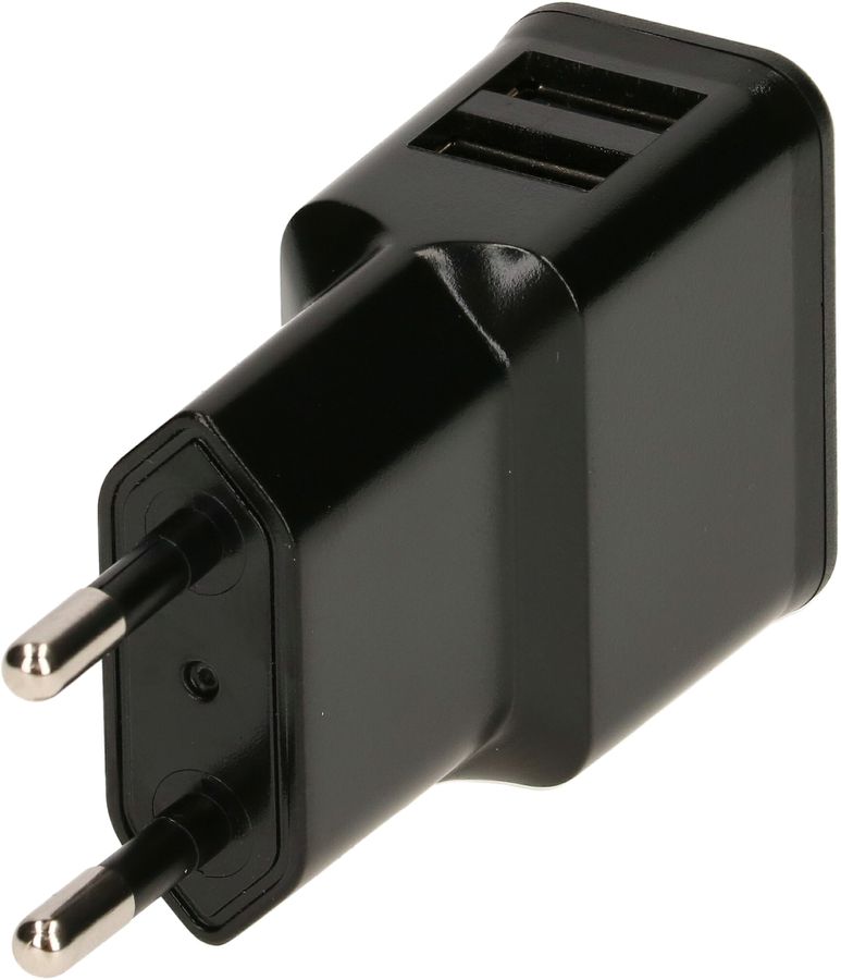 USB Ladeadapter 2x USB-A 12W schwarz