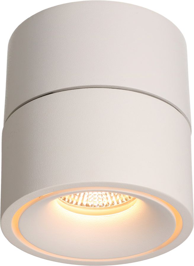 LED-Deckenspot BIG SHINE matt weiss 3000K 1100lm 36°
