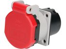 presa d'installazione 1x tipo 25 3L+N+PE Max Hauri IP55 grigio/ro