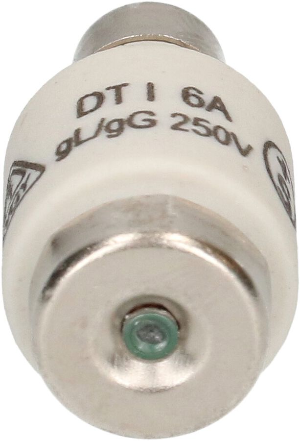 Sicherung 6A träge 250V DT-I / 5 Stück