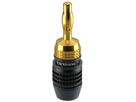 Clicktronic spina a banana oro nero