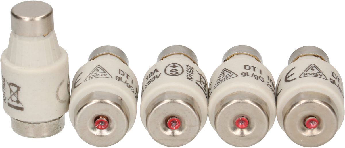 fusible 10A retardé 250V DT-I / 5 pièces