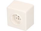 Steckdose 1x Typ 25 Gr.1x1 AP Basico weiss