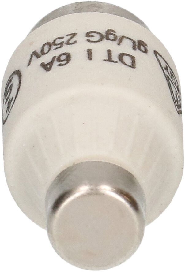 Sicherung 6A träge 250V DT-I / 5 Stück