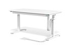 Magnetbefestigung Mitte Gecko CMX transparent