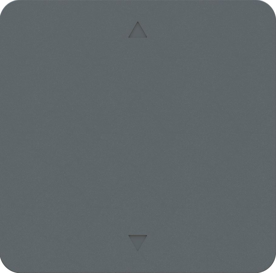 Wippschalter/-taster Storen Frontplatte priamos anthrazit