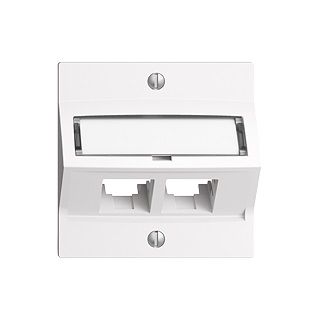 Netzwerk 2x Aufnahme S-One RJ45 Frontplatte EdizioDue EASYNET ws