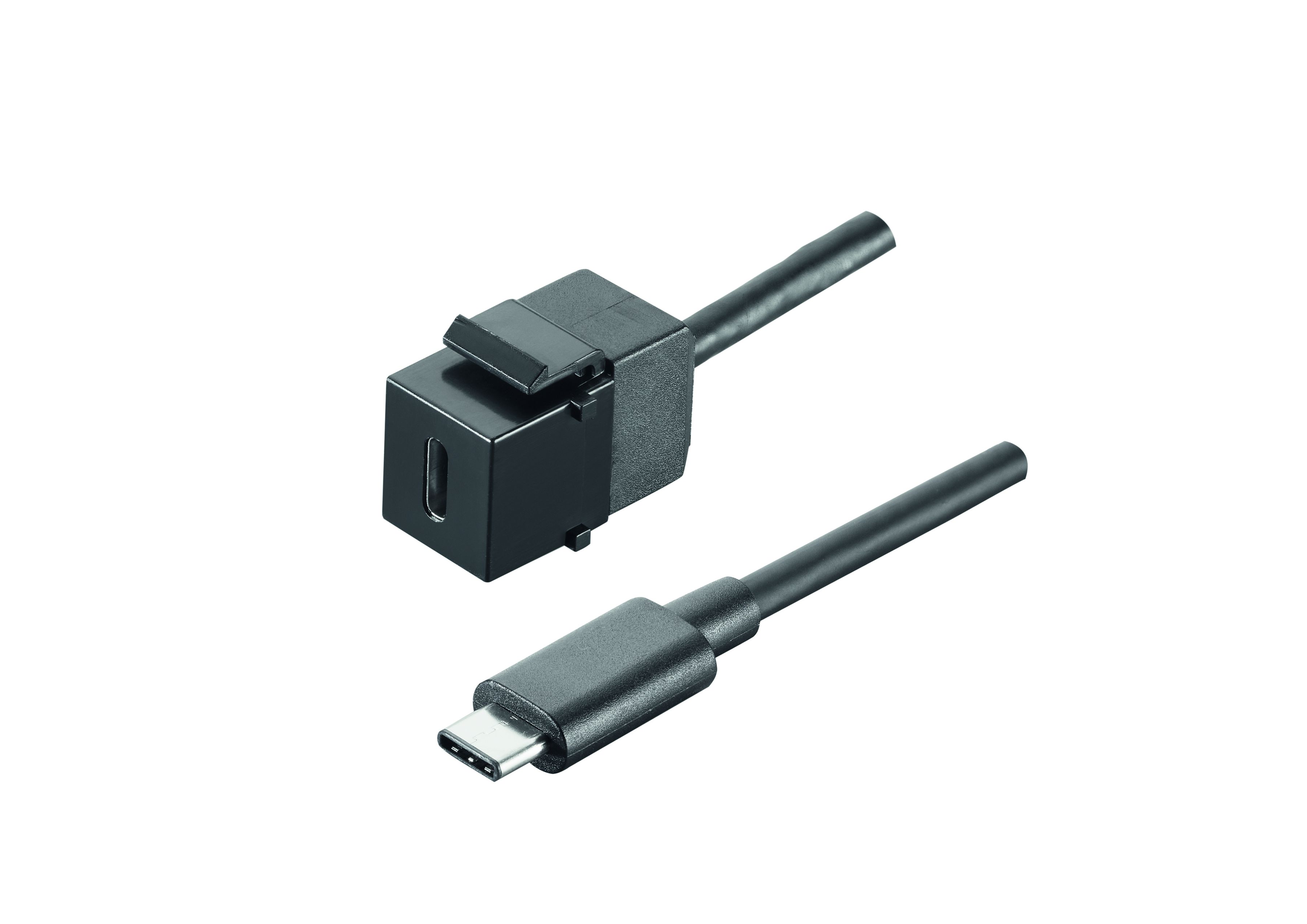 intérieur 1x USB C 3.1 Keystone prise/fiche 0.5m