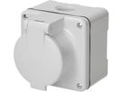 prise 1x type 13 ta.1x1 AP Mica Nass IP55 gris