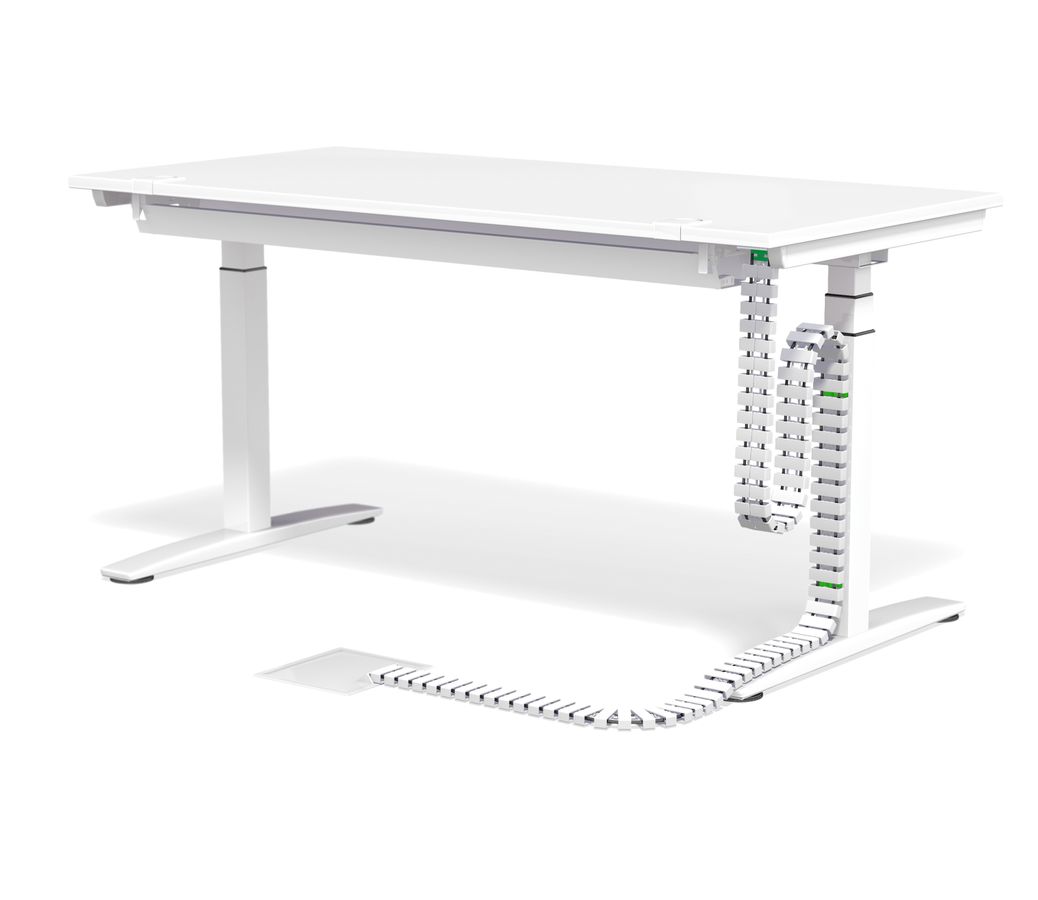 Magnetbefestigung Mitte Gecko CMX transparent