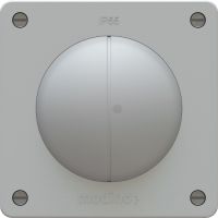 interrupteur à poussoir double s3+3 1x illu. in.+s.f. exo IP55 gr