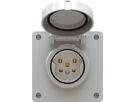 Steckdose 1x Typ 25 UP exo IP55 lichtgrau