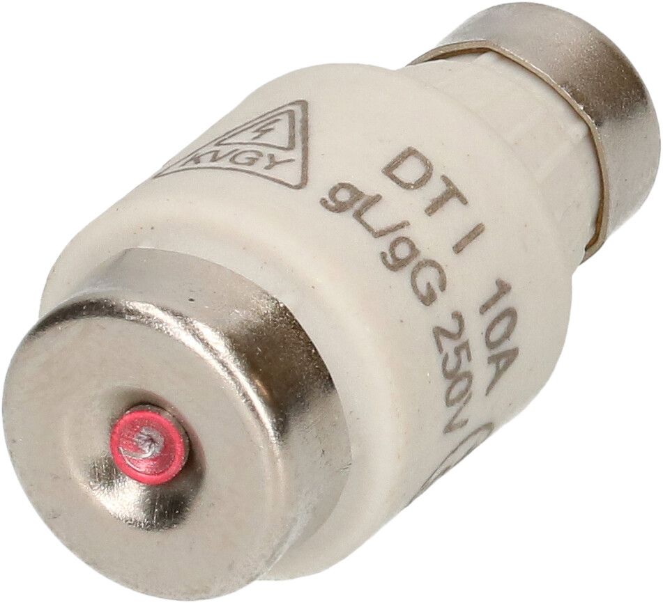 fusible 10A retardé 250V DT-I / 5 pièces