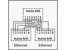 Kabel-Splitter RJ45