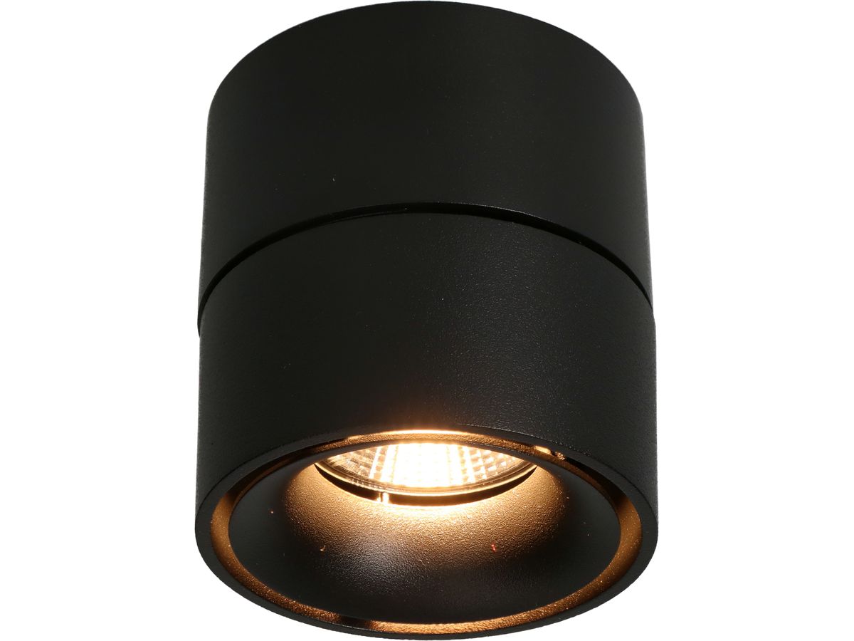 LED-Ceiling Spot "SHINE" matt black