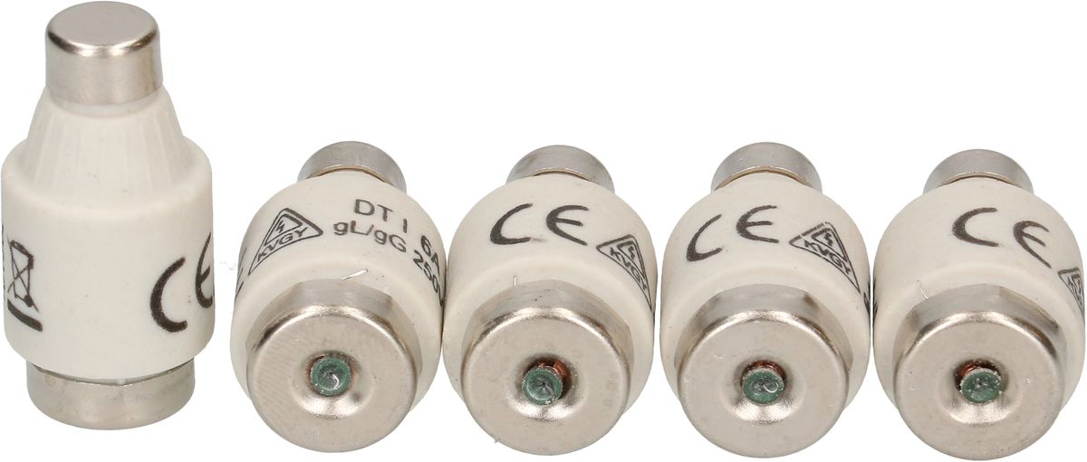 Sicherung 6A träge 250V DT-I / 5 Stück