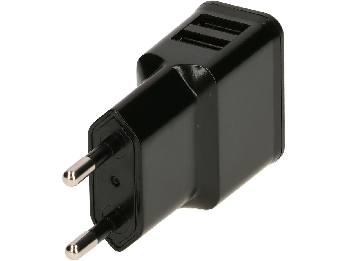 Dual USB-Ladegerät 2.4 A schwarz
