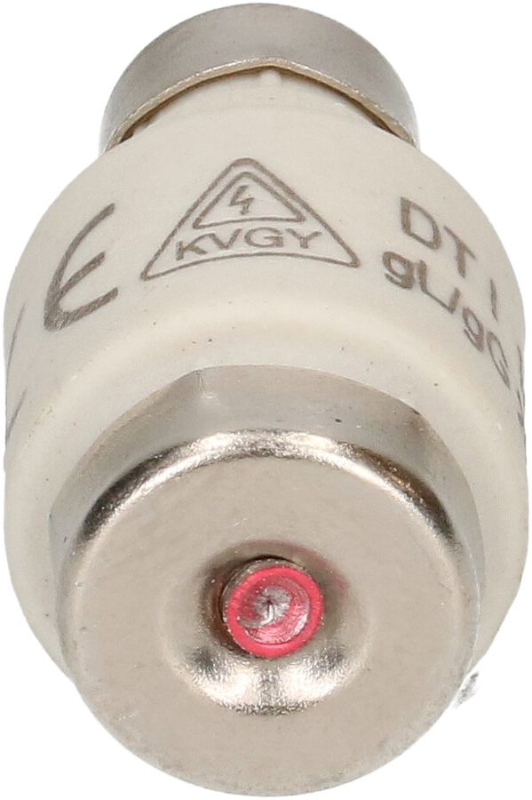 fusible 10A retardé 250V DT-I / 5 pièces